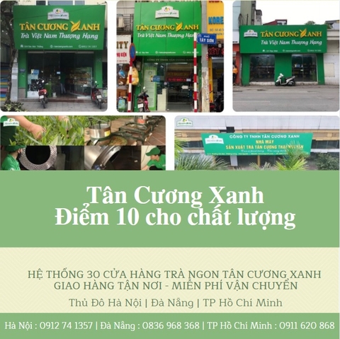 Chè Thái Nguyên Ngon Tân Cương Xanh Từng Bước Vươn Mình