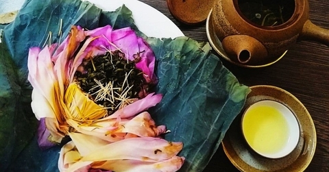 Một chén trà sen Tây Hồ giữa ngày chuyển thu – Hơn cả thú thưởng trà