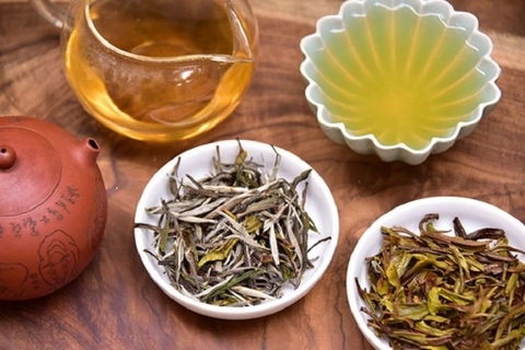 Có phải hương vị của trà Shan Tuyết đều giống nhau?