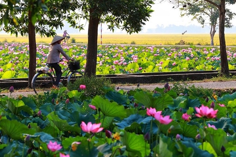 Cùng học 10 kinh nghiệm chọn trà sen đúng mùa từ người thưởng trà sen lâu năm