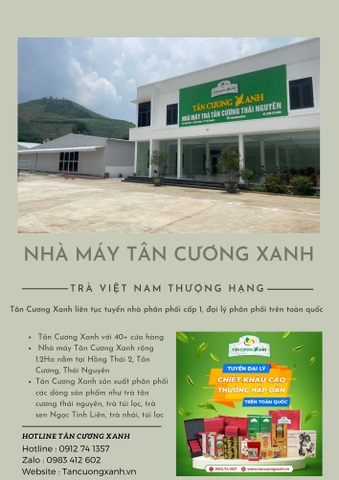 Đặc Sản Trà Búp Thái Nguyên Tân Cương Xanh