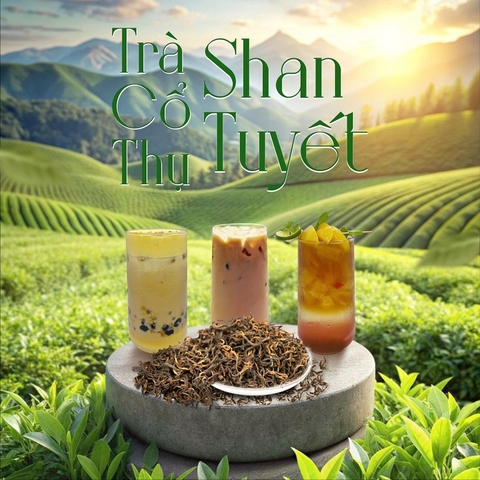 Điều gì khiến trà Shan Tuyết được truyền tụng như một loại trà chữa lành?