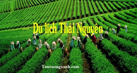 Cơ hội phát triển “du lịch làng chè”