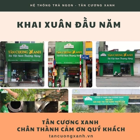 Hệ thống trà thái nguyên Tân Cương Xanh khai xuân đầu năm