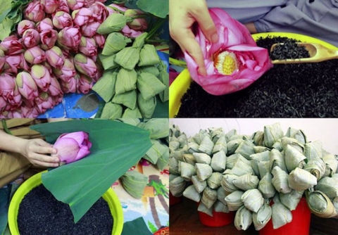 Hương vị trà sen Tây Hồ ướp thủ công và trà sen Tây Hồ ướp công nghiệp – người sành trà mới nhận ra