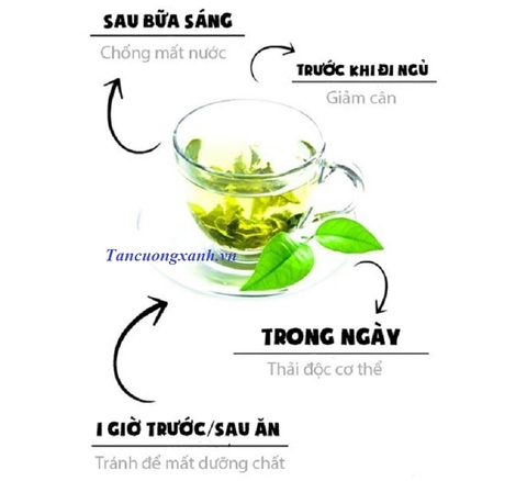 Ích lợi của trà xanh đối với các quý ông