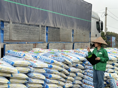 NHỮNG CHUYẾN XE PHÂN BÓN HỮU CƠ LIÊN TỤC VỀ NHÀ MÁY TÂN CƯƠNG XANH