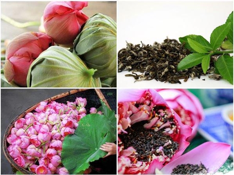 Những dấu hiệu nhận biết trà sen Tây Hồ “Xịn” và cách tránh hàng giả