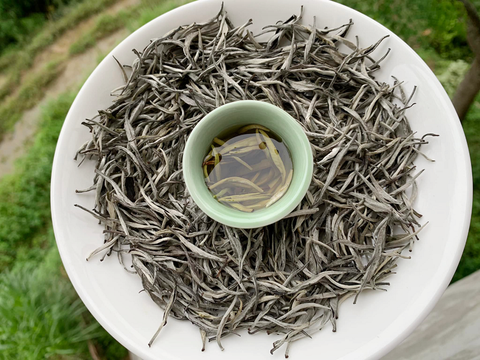 “Phẩm trà” là gì? Điểm danh các phẩm trà ngon, nổi tiếng đến từ trà Shan Tuyết