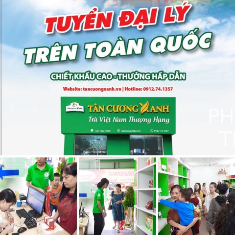 Phân phối chè tân cương thái nguyên toàn quốc