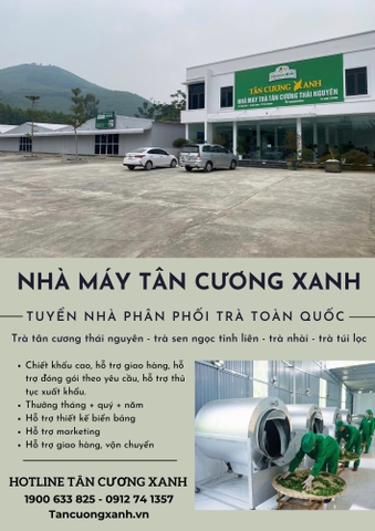 Hình Ảnh Những Thùng Trà Thái Nguyên Ngon Gửi Các Nhà Phân Phối