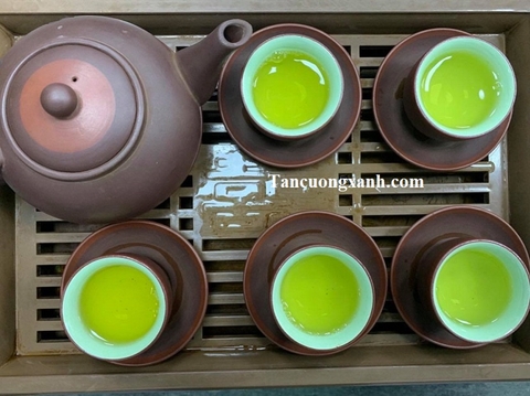 Phòng ngừa bệnh Gout với trà xanh thái nguyên