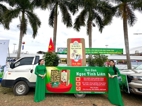 Quy Trình Trồng Trà Thái Nguyên Hữu Cơ Tại Nhà Máy Tân Cương Xanh - Hành Trình Kiên Trì Nhiều Năm Tới Hái Quả Ngọt