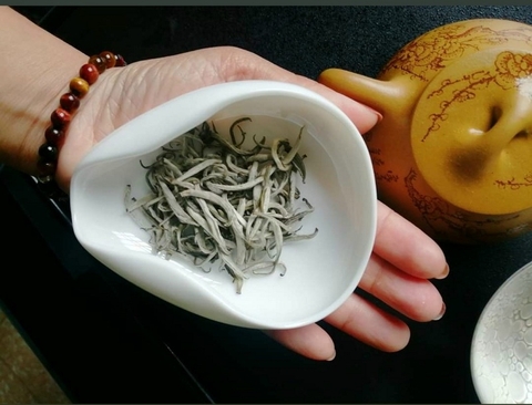 Shan Tuyết Bạch Trà – Sự khác biệt tạo nên sự huyền bí, “độc nhất vô nhị”