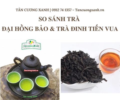 So Sánh Trà Đại Hồng Bảo Và Trà Đinh Tiến Vua Tân Cương Xanh