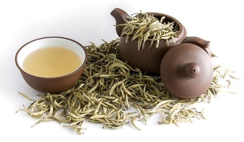 Sự khác biệt giữa trà Shan Tuyết cổ thụ và trà Shan Tuyết mới phát triển