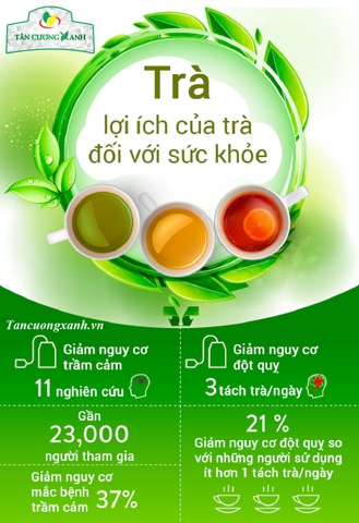Uống trà xanh thái nguyên ngăn ngừa ung thư buồng trứng