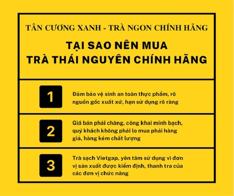 Tại Sao Nên Mua Chè Thái Nguyên Chính Hãng