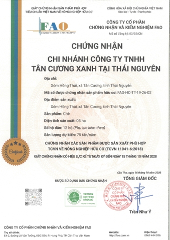 Trà hữu cơ Tân Cương Xanh: Vùng số 1 rộng 5 ha được chứng nhận