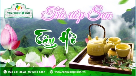 Tên gọi trà sen Tây Hồ có từ đâu? Uống trà sen Hồ Tây ở đâu là chuẩn vị và hợp gu?