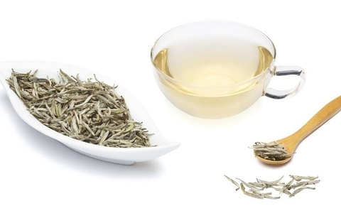 Phân biệt trà Shan tuyết bạch ngọc và trà Shan tuyết hồng ngọc – Loại trà nào tốt cho người cao tuổi