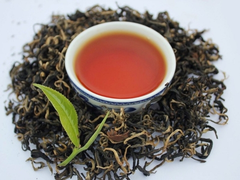 Trà Shan tuyết từ cây cổ thụ và trà Shan Tuyết từ búp non khác nhau như thế nào?