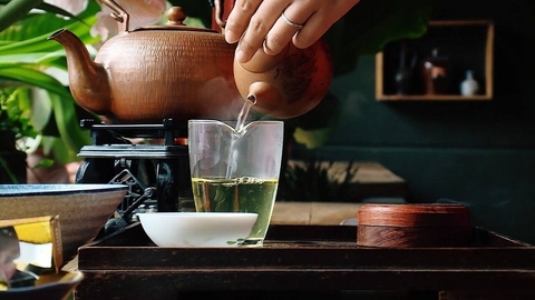 Trà Thái Nguyên, Shan Tuyết, trà Ô Long – Loại nào hợp nhất để pha cùng trái cây?