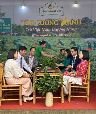 Chọn trà cho đối tác nước ngoài – Nên lựa chọn dòng trà nào cho phù hợp?