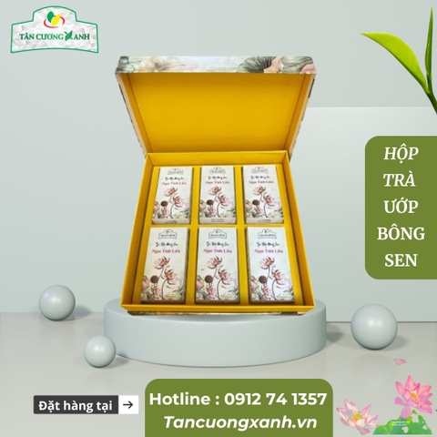Trà Ướp Bông Sen Ngọc Tỉnh Liên – Hương Vị Tinh Hoa Của Đất Việt