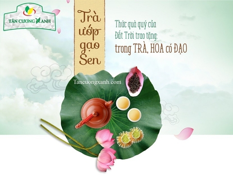 Trà sen là gì? Uống trà sen có giúp dễ ngủ không? Công dụng của trà sen?