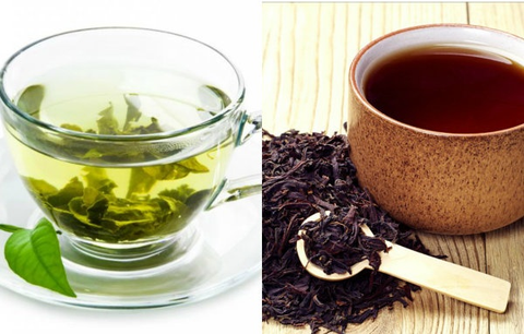 Trà xanh và trà đen là một? Bạn có đang hiểu sai?