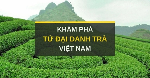 Tứ đại danh trà – Gọi tên những dòng trà nào?