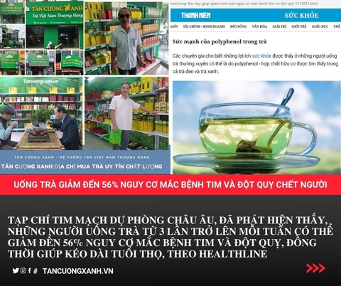 Uống chè thái nguyên làm giảm nguy cơ đột quỵ và tim mạch