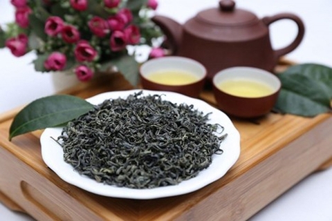 Vị ngon của trà Thái Nguyên thay đổi theo mùa – Mùa nào là ngon nhất?