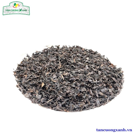 Black Tea Grade OPA : Trà Đen Xuất Khẩu OPA