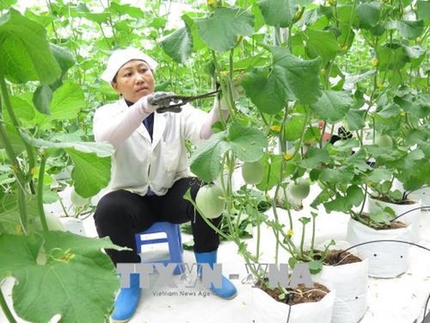 Những chính sách nổi bật có hiệu lực từ tháng 6/2018