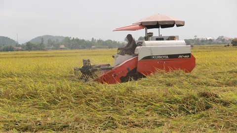 Bắt 2 nghi phạm ép các chủ máy gặt lúa thuê nộp ‘lệ phí’
