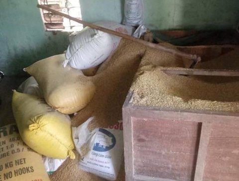 Gia đình một nông dân báo mất 49 cây vàng trị giá khoảng 1,8 tỉ đồng