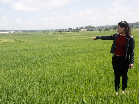 Kon Tum: Một thửa đất có… 20 sổ đỏ