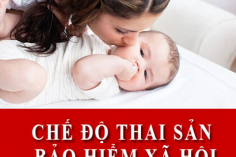 Tư vấn về trợ cấp thai sản