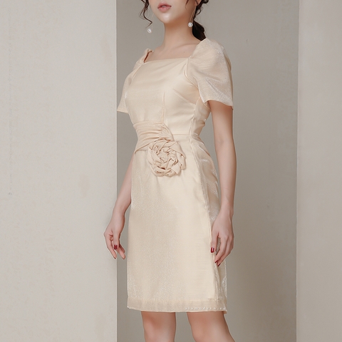 D0188 - Đầm Nude Voan Tơ Korea