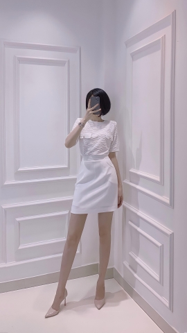 Áo kiểu cổ tròn tay ngắn _ A0541