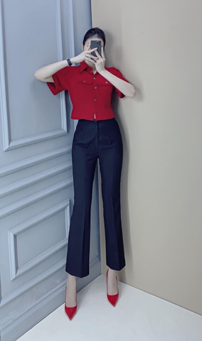 Áo Crop túi hộp tay ngắn - A0454