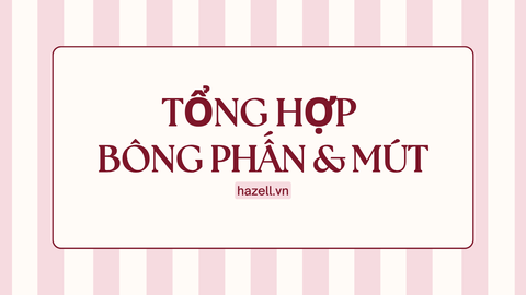 TỔNG HỢP BÔNG PHẤN & MÚT VACOSI