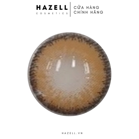 Lens A2030 Brown - Một ngày