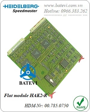 Flat module 00.785.0750
