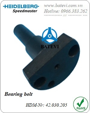 Bearing bolt 42.030.205