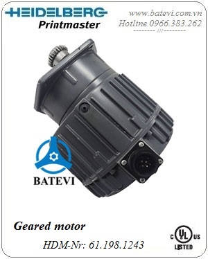 Geared motor 61.198.1243