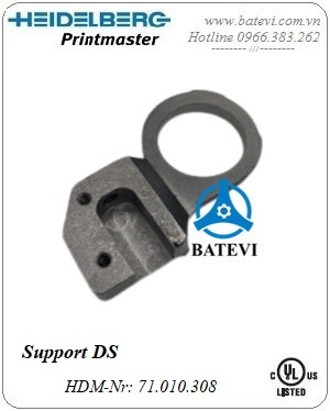 Support DS 71.010.308