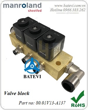 Valve block 80.01V13-A137